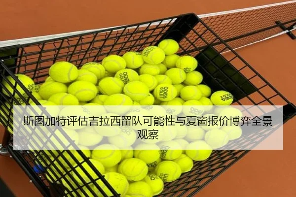 斯图加特评估吉拉西留队可能性与夏窗报价博弈全景观察（kaiyun）