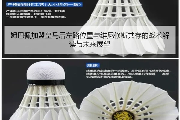 姆巴佩加盟皇马后左路位置与维尼修斯共存的战术解读与未来展望（kaiyun）